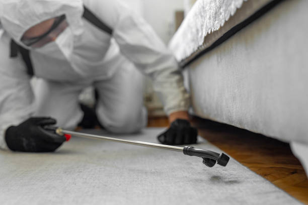 Professional Cockroach Control technician working in Brisbane, CA