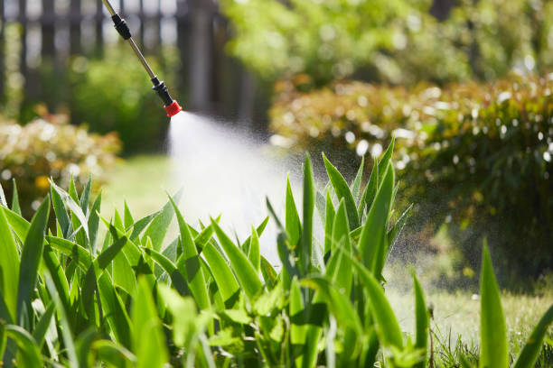 24/7 Emergency Cockroach Control experts in Brisbane, CA