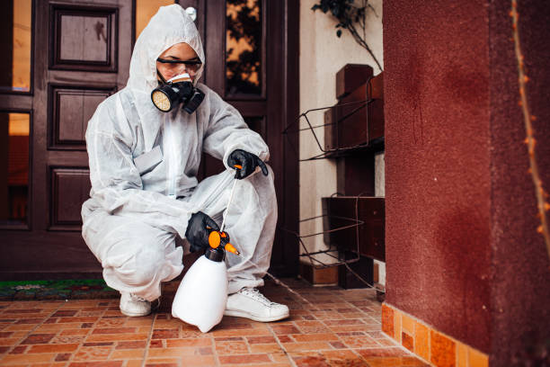 Reliable Cockroach Control contractor in Brisbane, CA by Nex Pest Control